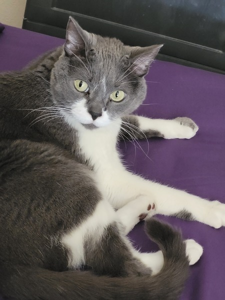 Entry image for Ernie . Clicking this image will show a larger photo