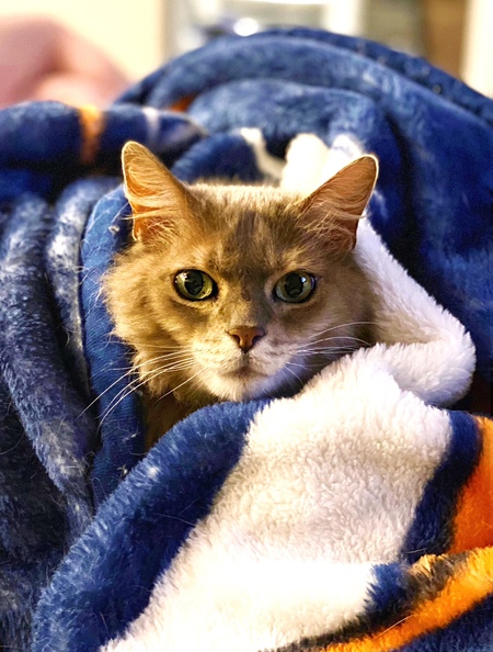 Entry image for Lilly. Clicking this image will show a larger photo