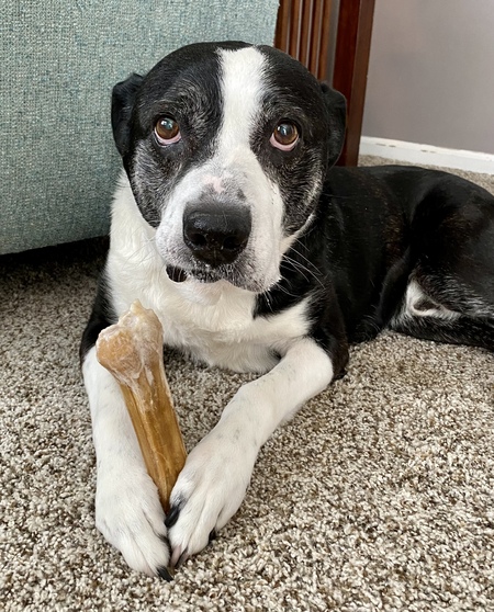 Entry image for Hobbs . Clicking this image will show a larger photo