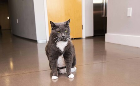 Entry image for Jillian. Clicking this image will show a larger photo