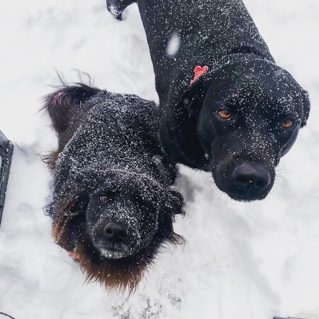 Entry image for Sophie and Colt . Clicking this image will show a larger photo