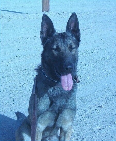 Entry image for Flex. Clicking this image will show a larger photo