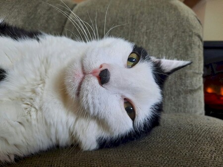 Entry image for Gary. Clicking this image will show a larger photo