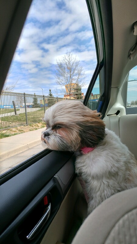 Entry image for Triscuit. Clicking this image will show a larger photo