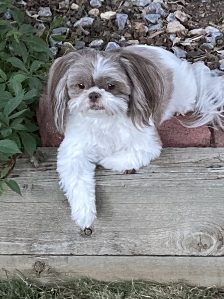 Entry image for Bella Nostrand . Clicking this image will show a larger photo