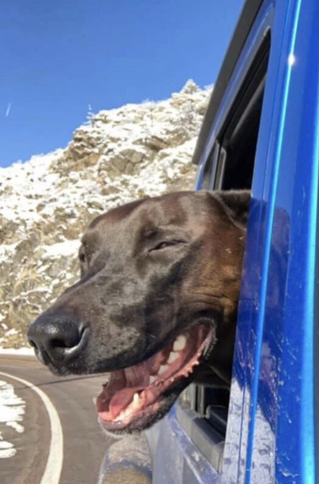 Entry image for Sarah. Clicking this image will show a larger photo