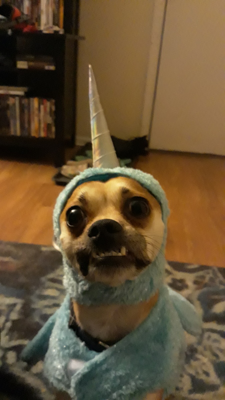 Entry image for Roger. Clicking this image will show a larger photo