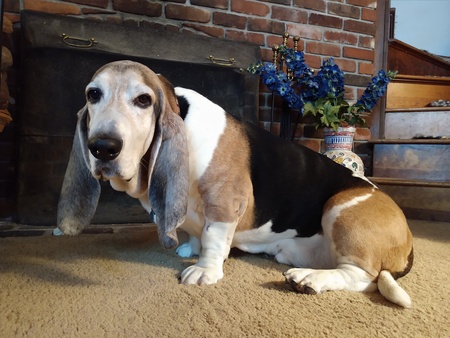 Roscoe