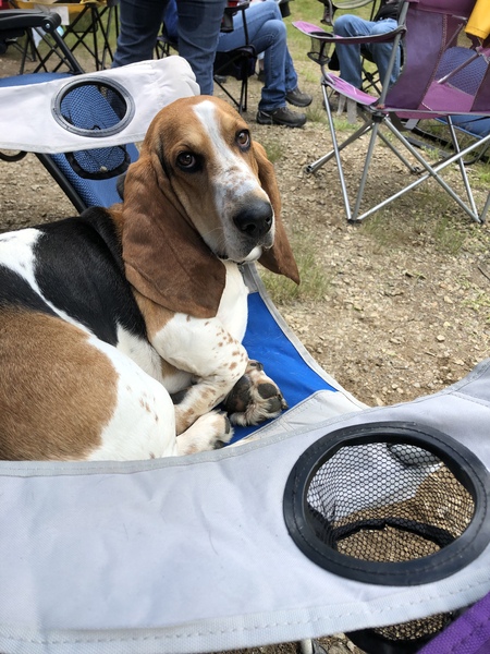 Gus