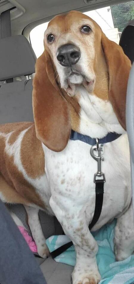Gimli