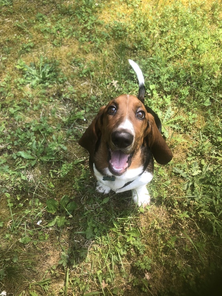 Fred