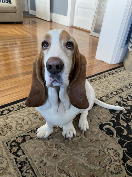 Penny