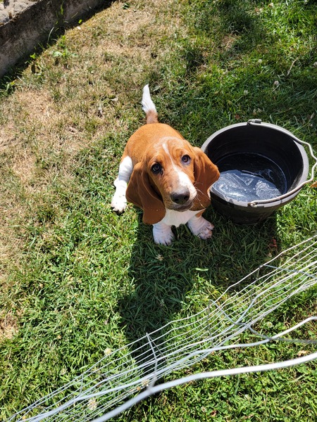 Wilma