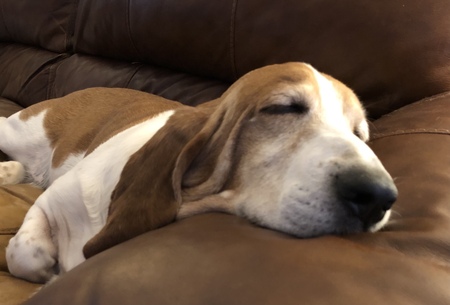 Jethro