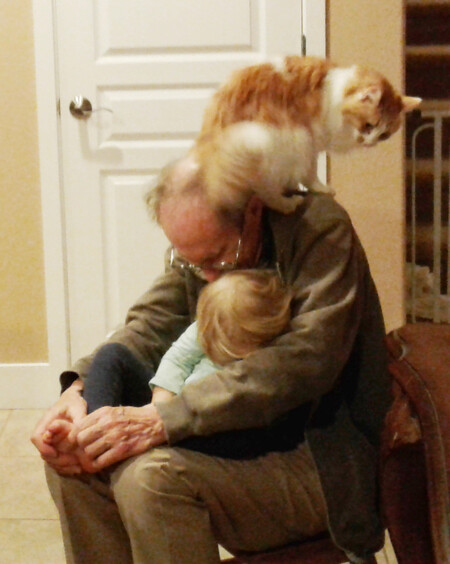 Goldilocks and the lap cat
