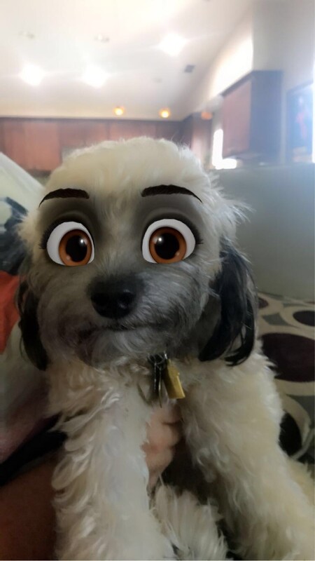 Buddy...you ought to be in pictures!
