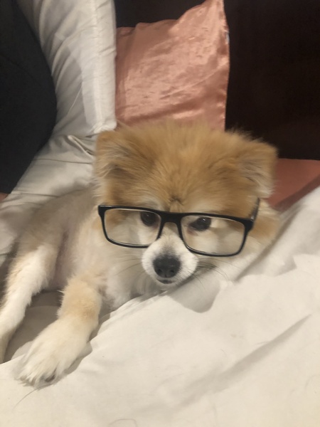Professor Bentley 