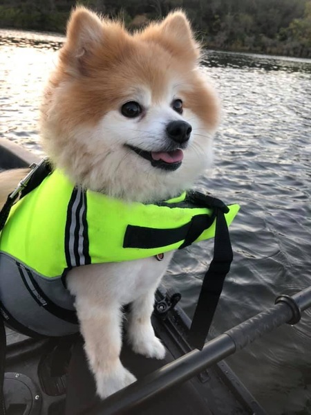 Captain Bentley 