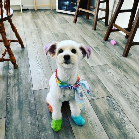 Pride Luna