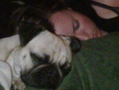 Afternoon Nap
