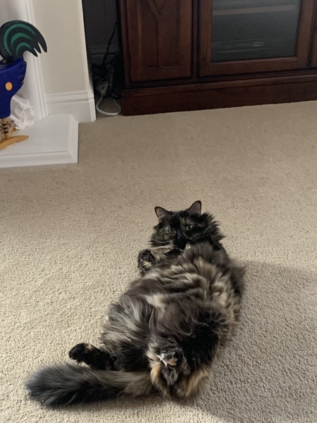Doin’ my sit ups