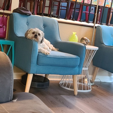 It's a hard life