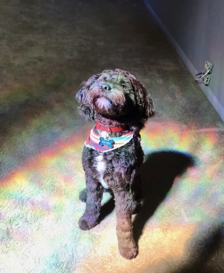 Rainbow love