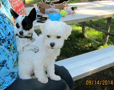 Jax & Jennie
