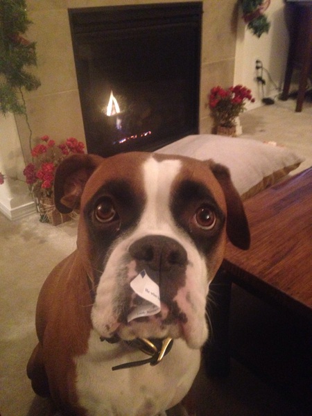Maggie got caught with her lips on the cookie!