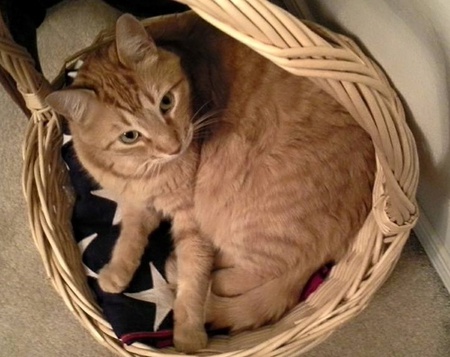 Tigger