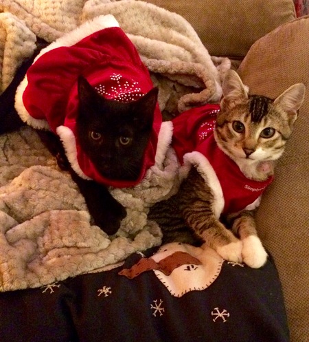 Diesel and Blair
