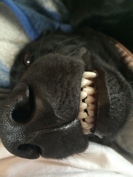 Molly's asking, "Do I have anything in my teeth?"