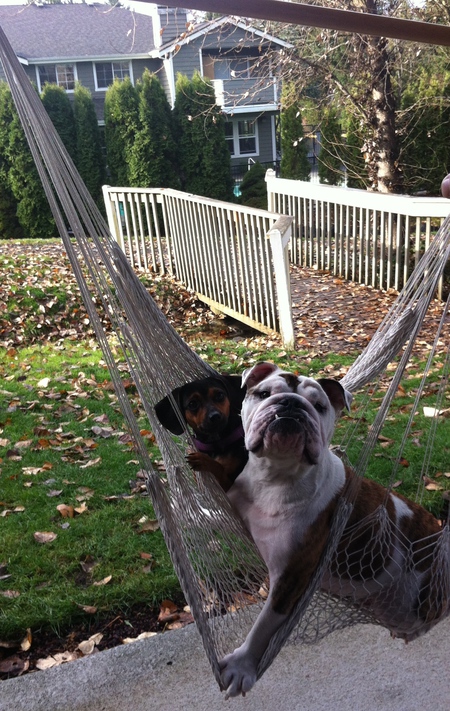 Brody and Bug