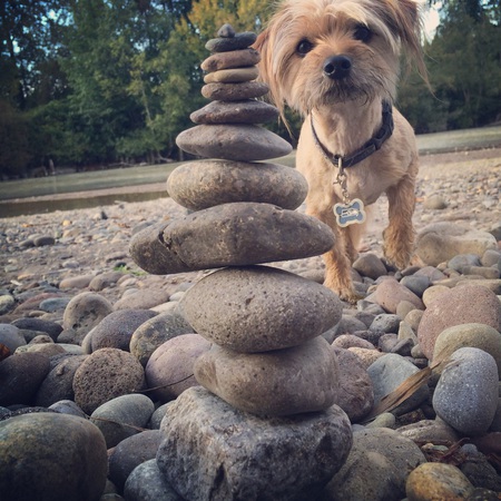 Gus