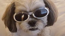 Sampson