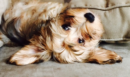 Ruby