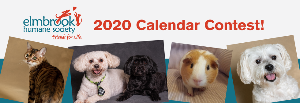 2022 Humane Society Christmas Bazaar Elmbrook Humane Society 2022 Elmbrook Humane Society Calendar Photo 2022 Humane Society Christmas Bazaar Elmbrook Humane Society 2022 Elmbrook Humane Society Calendar Photo
