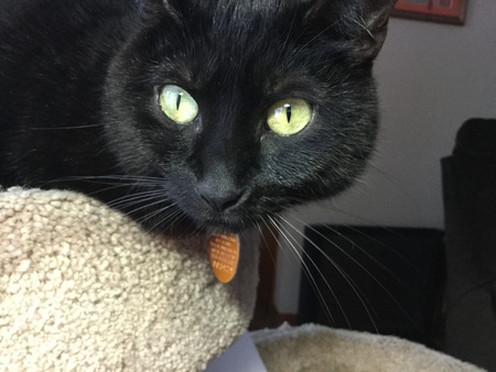 Pepper