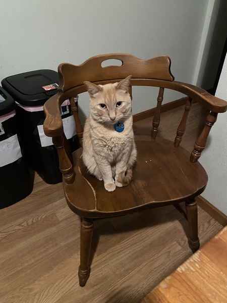 Buddy