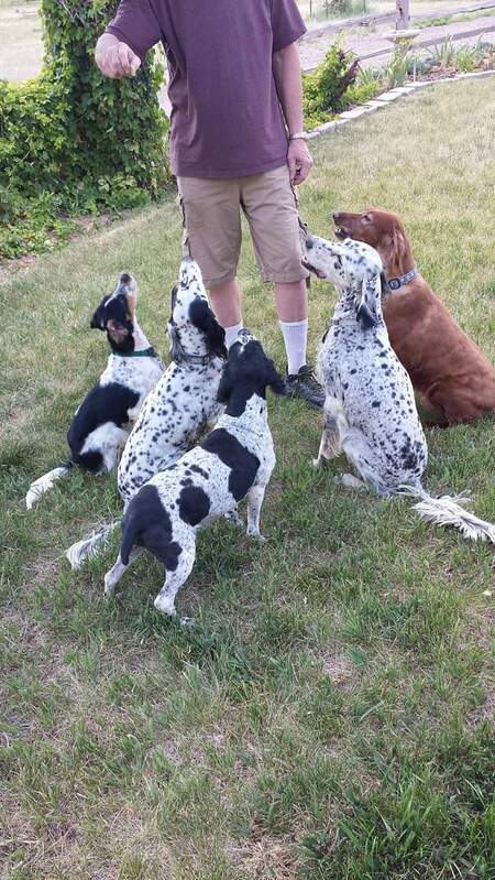 L to R Nemi, Addie, Seth, Hannah, and Skye