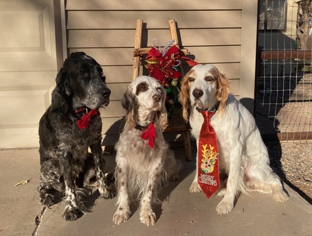 Daisy, Millie, and Phillip