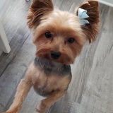 Entry image for Bella Peterson