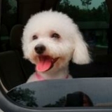 Entry image for Bella Burke