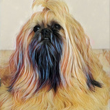 Entry image for Henry 