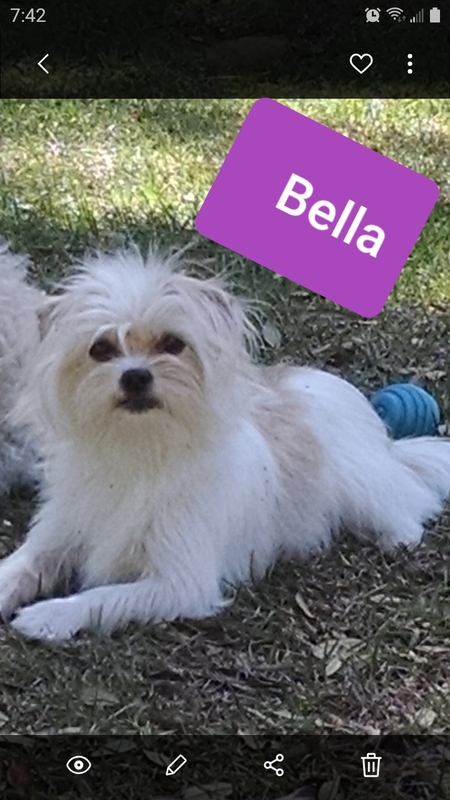 Entry image for BELLA. Clicking this image will show a larger photo