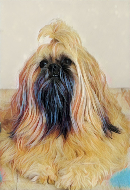 Entry image for Henry . Clicking this image will show a larger photo