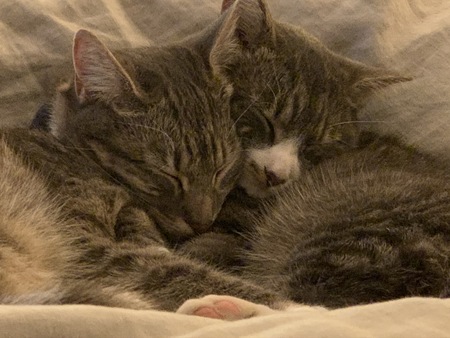 Lola and Luna