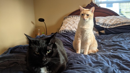 Lennie and George