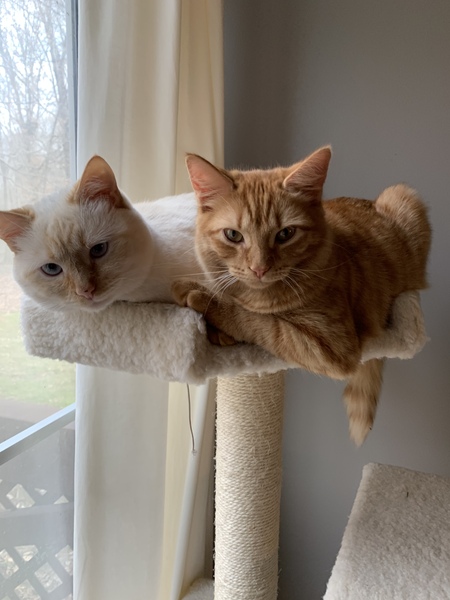 Theo (IAR) and Addy