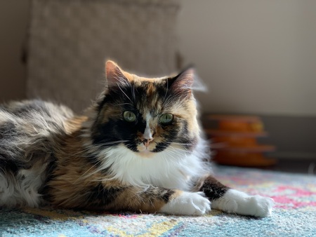 Gertie